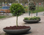  erfafscheiding_plantenbakken